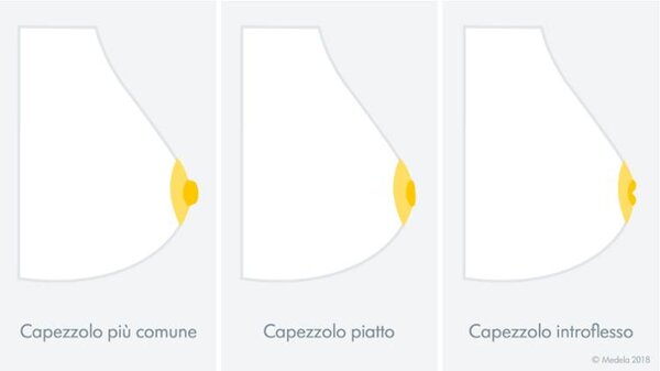 Illustrazione dei tipi di capezzoli