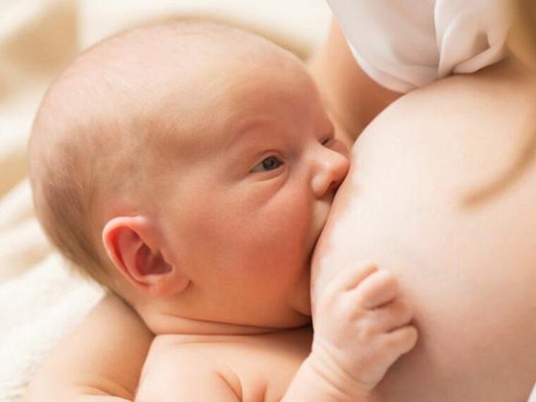 A newborn baby nursing on large breasts.