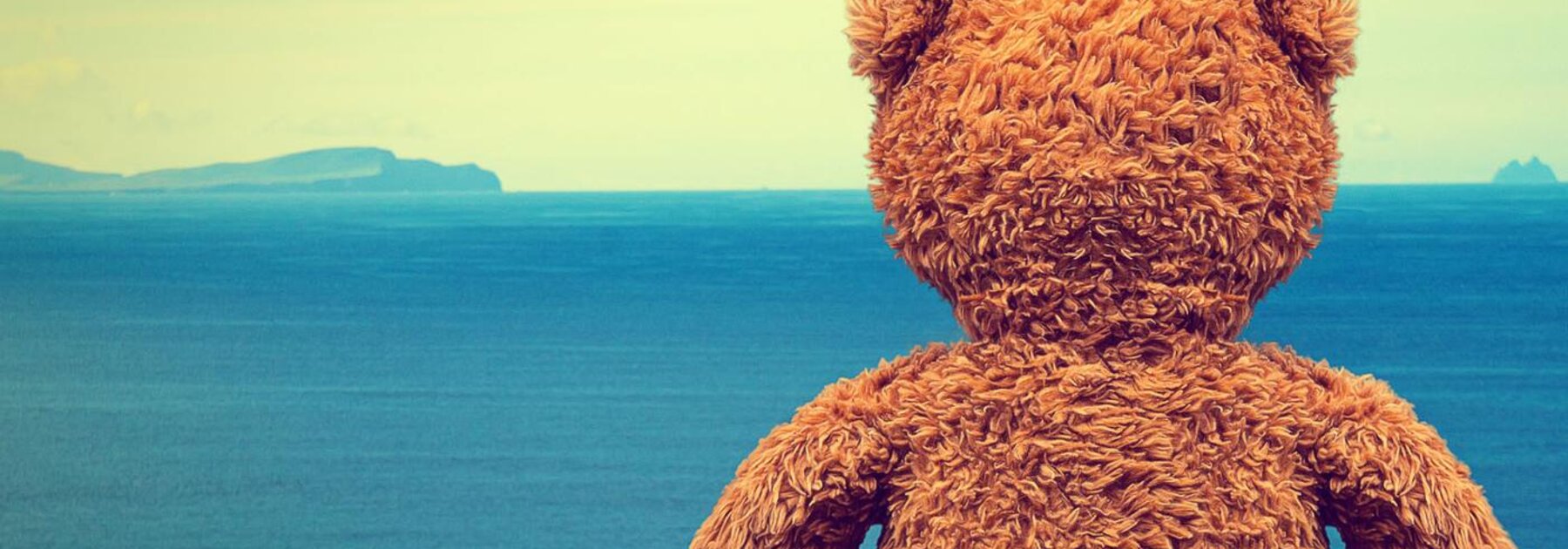 A teddy bear looking out at the sea.