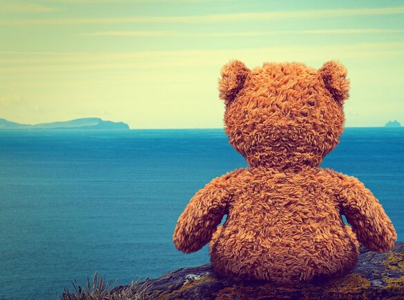 Ein Teddybär, der auf das Meer hinausschaut.