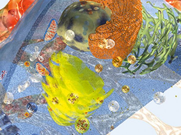 Gotas de água e óleo com cores