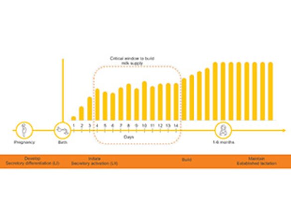 An illustration from Medela on "Coming to volume is an indicator of the efficacy for the interventions to support effective initiation".