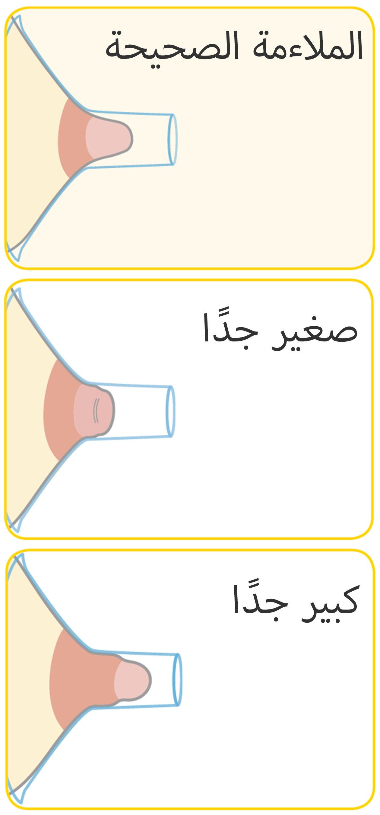 asset_image
