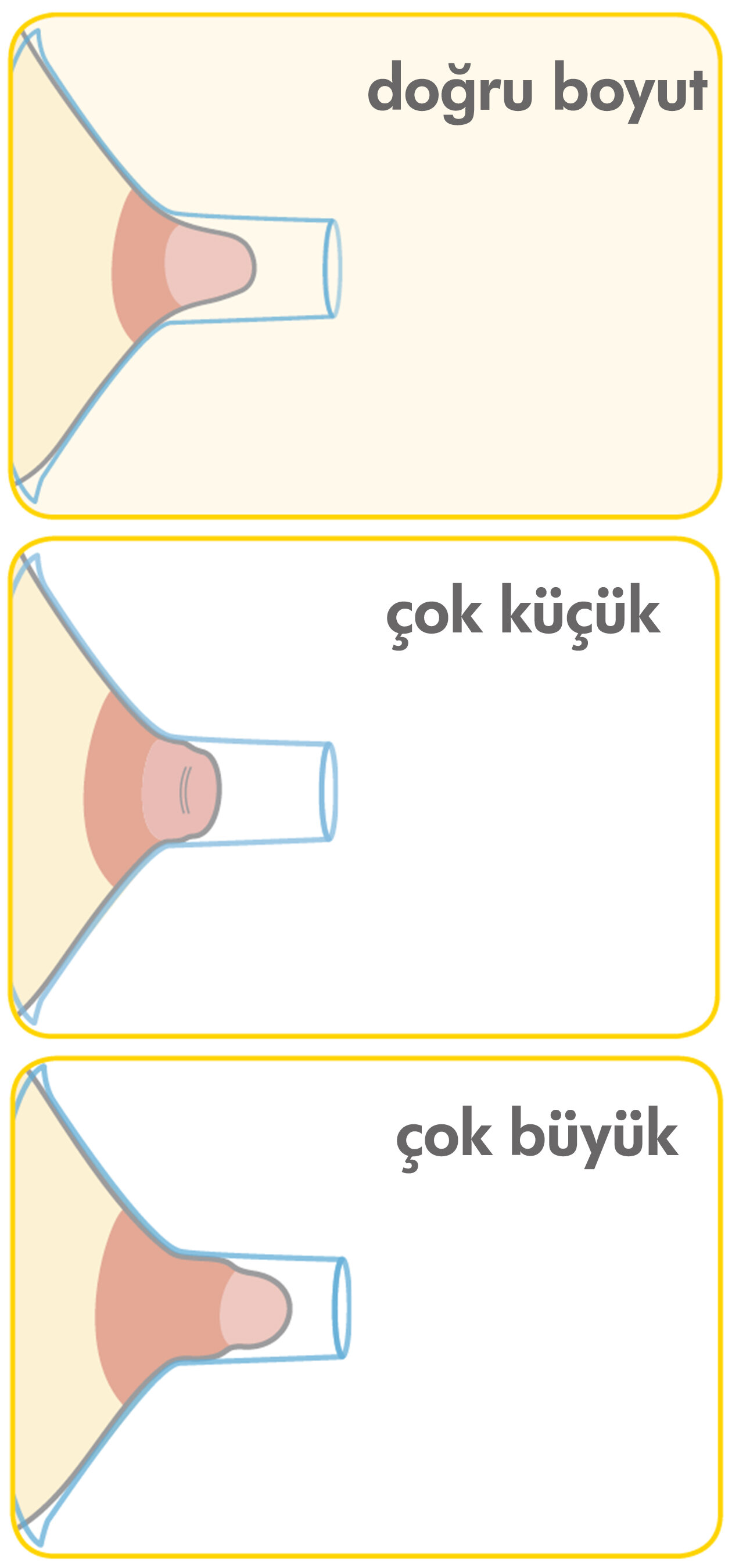 asset_image