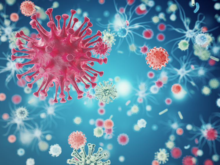 A pink, blue and white illustration of the corona virus.