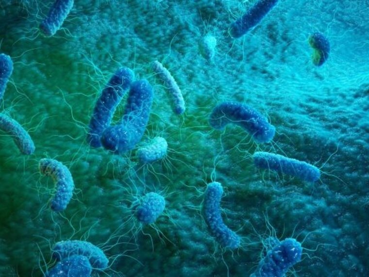 Microscope view of germs