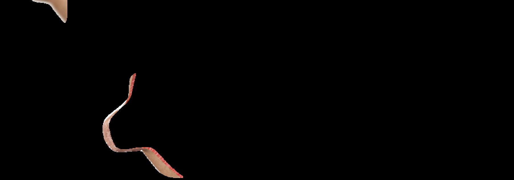 Eine grafische Darstellung der Anatomie einer stillenden Brust.