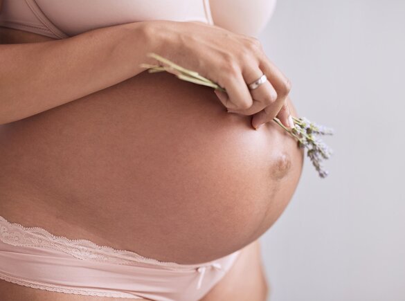 Eine schwangere Mutter steht und hält Lavendel auf ihren Babybauch. 